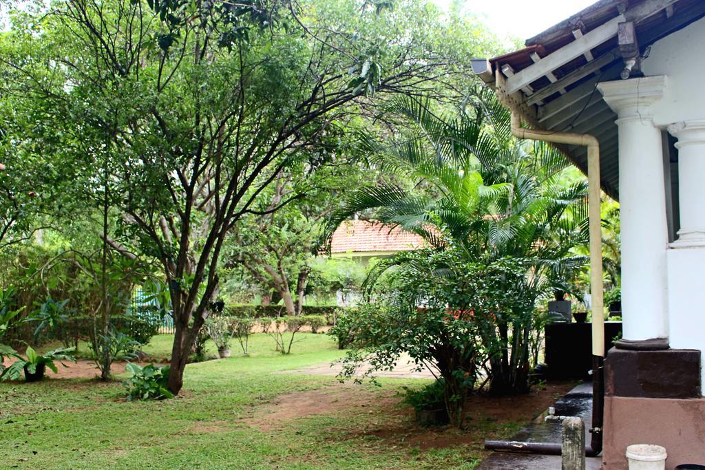 No.53 Apartment คาตุนายากา ภายนอก รูปภาพ